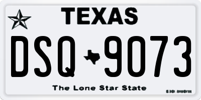 TX license plate DSQ9073