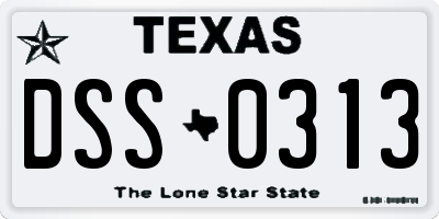 TX license plate DSS0313