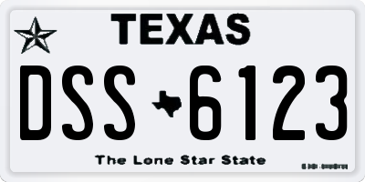 TX license plate DSS6123