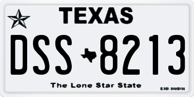 TX license plate DSS8213