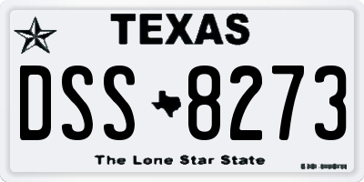 TX license plate DSS8273