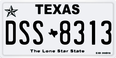 TX license plate DSS8313