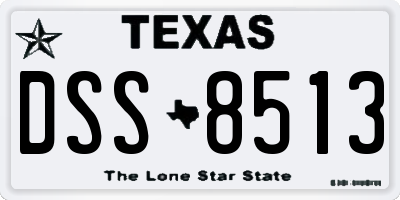 TX license plate DSS8513