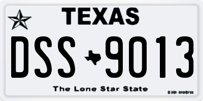 TX license plate DSS9013
