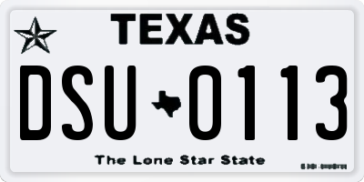 TX license plate DSU0113
