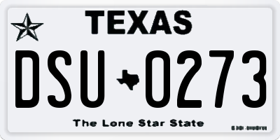 TX license plate DSU0273