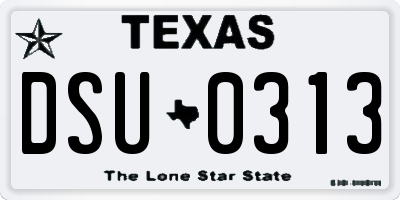 TX license plate DSU0313