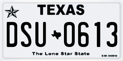 TX license plate DSU0613