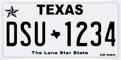 TX license plate DSU1234