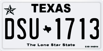 TX license plate DSU1713
