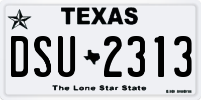TX license plate DSU2313
