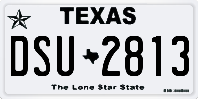 TX license plate DSU2813