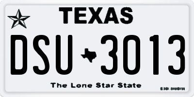 TX license plate DSU3013