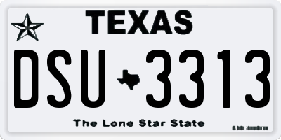 TX license plate DSU3313