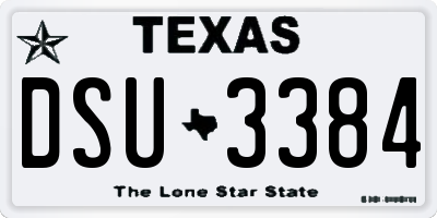 TX license plate DSU3384