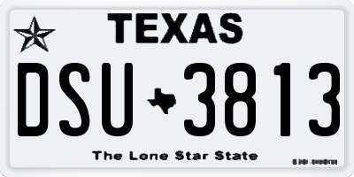 TX license plate DSU3813