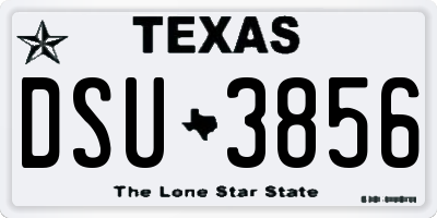 TX license plate DSU3856