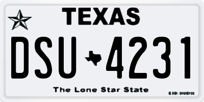 TX license plate DSU4231