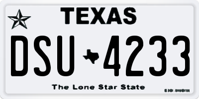 TX license plate DSU4233