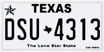 TX license plate DSU4313