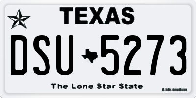 TX license plate DSU5273
