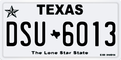 TX license plate DSU6013