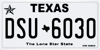 TX license plate DSU6030