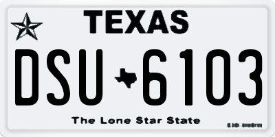 TX license plate DSU6103