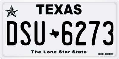 TX license plate DSU6273