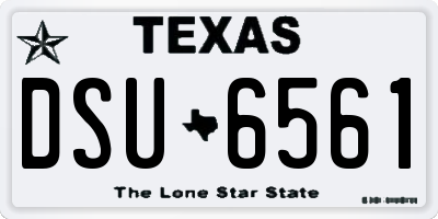 TX license plate DSU6561