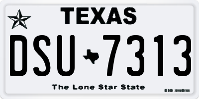 TX license plate DSU7313