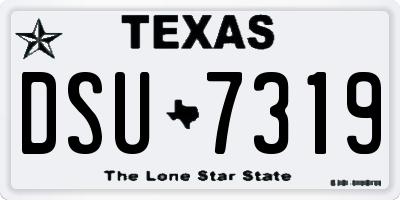 TX license plate DSU7319