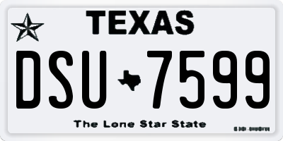 TX license plate DSU7599