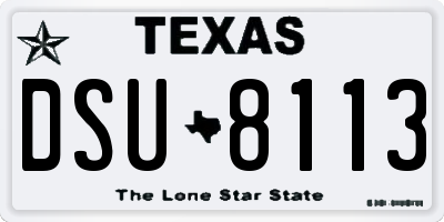 TX license plate DSU8113