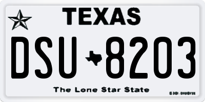 TX license plate DSU8203
