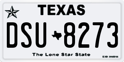 TX license plate DSU8273