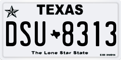 TX license plate DSU8313