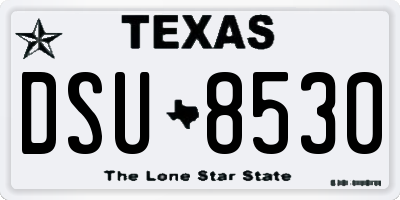 TX license plate DSU8530