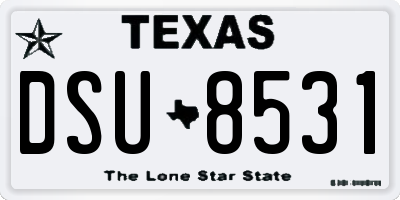 TX license plate DSU8531
