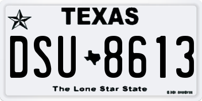 TX license plate DSU8613