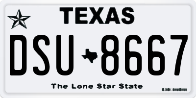TX license plate DSU8667