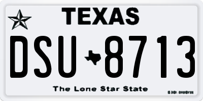 TX license plate DSU8713