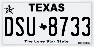 TX license plate DSU8733