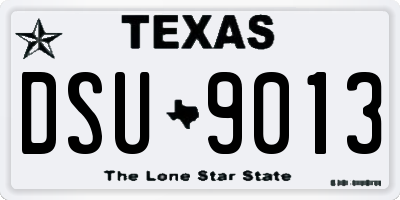 TX license plate DSU9013