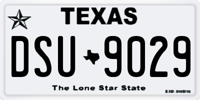 TX license plate DSU9029