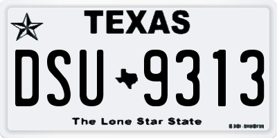 TX license plate DSU9313