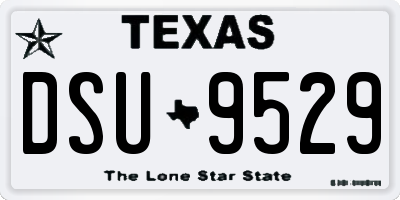 TX license plate DSU9529