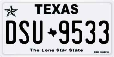 TX license plate DSU9533