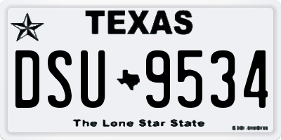 TX license plate DSU9534