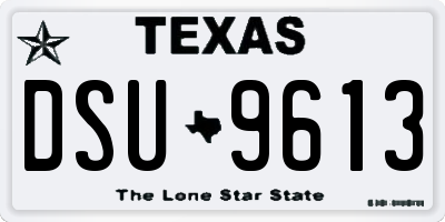 TX license plate DSU9613